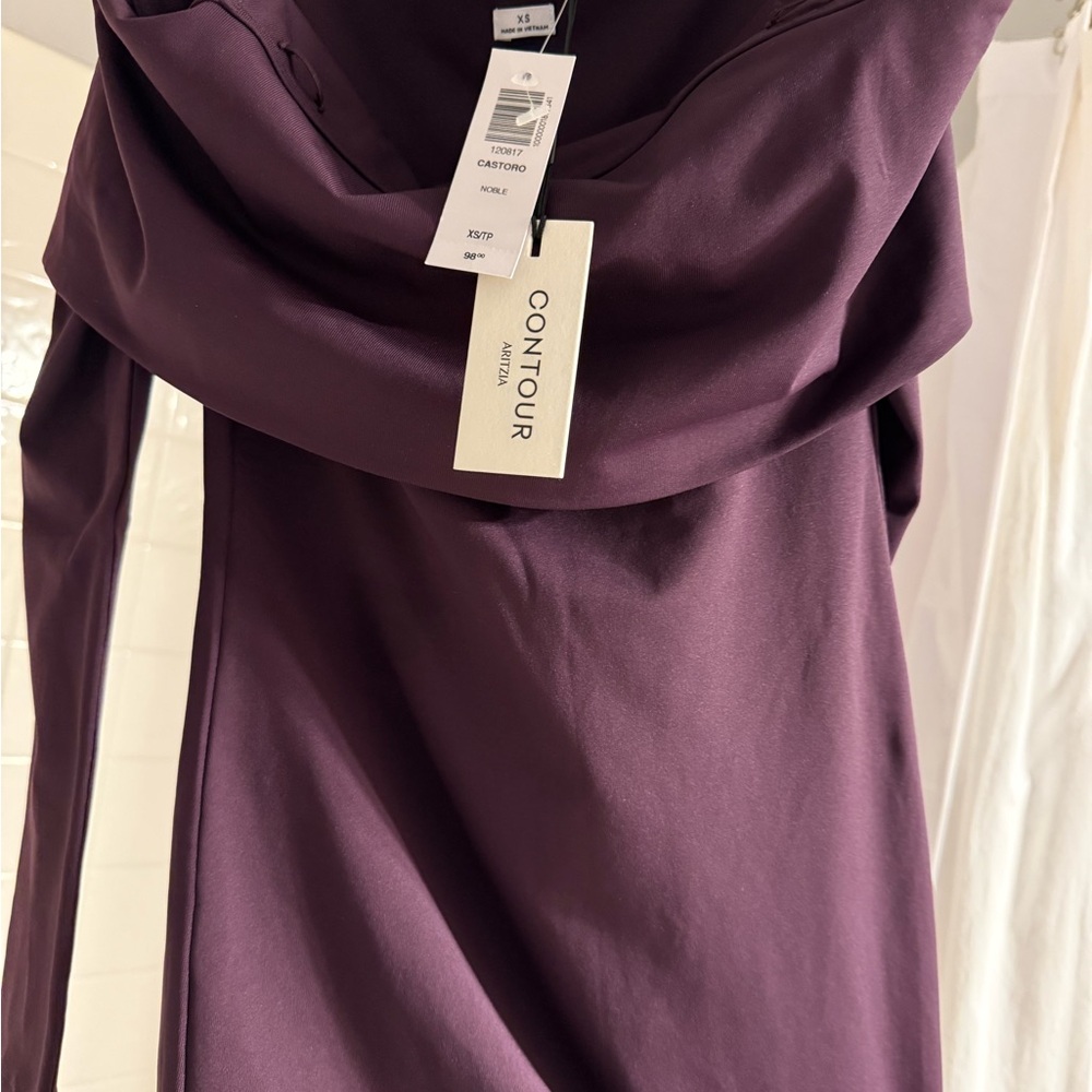 Aritzia Contour Dress in Deep Purple